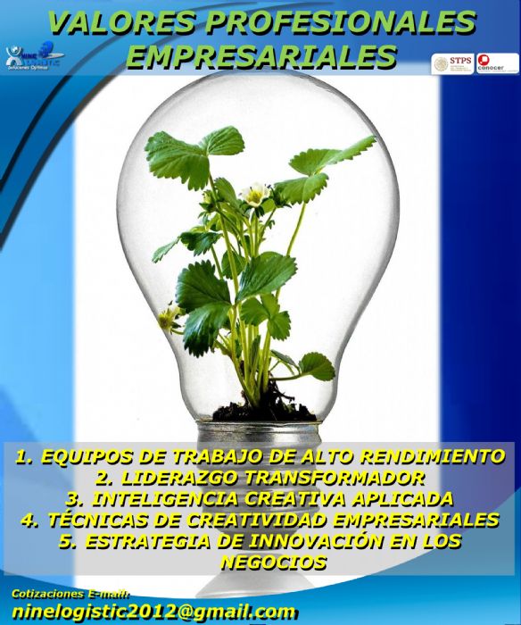 CURSO VALORES PROFESIONALES EMPRESARIALES